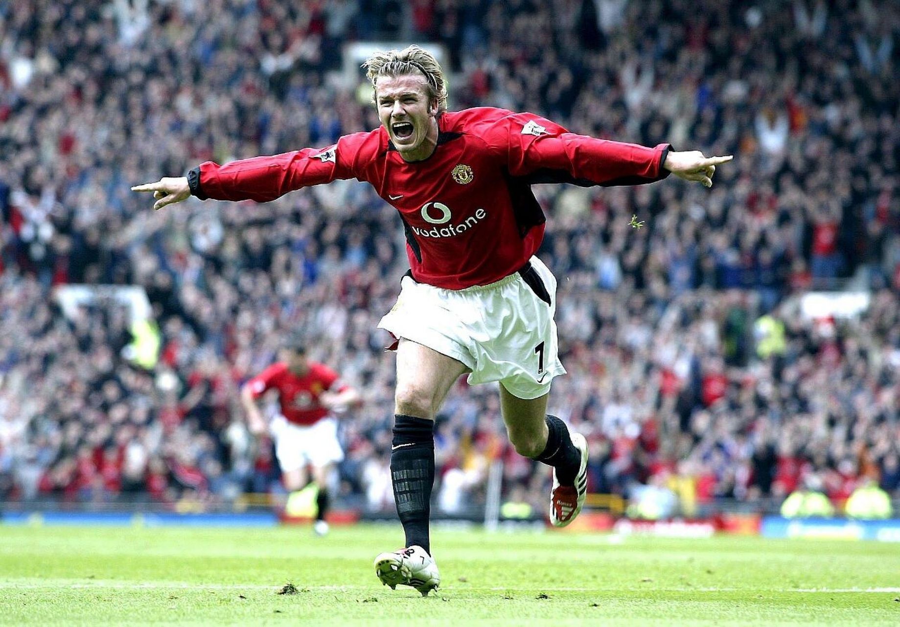 全能表现 全能表现